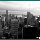 양지마을 보행자도로 이미지