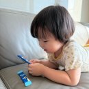 포헬라 이미지