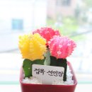 연세느티나무치과의원 이미지