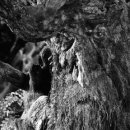 이나하우스 이미지