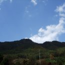 지수초등학교 이미지