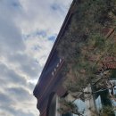 청주레이디싱어즈 정기연주회 | 아트와 함께하는 음악회- 합창으로 희망을 전하는 희망의 하모니- 제15회 청주레이디싱어즈 정기 연주회