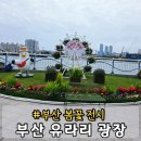 동아그린프라자 개방화장실 | 부산 중구 가볼만한곳 유라리 광장 봄꽃 전시 기간 영도대교 도개 위치