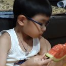 1센티미터의행복