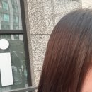 suheehairsalon수희헤어살롱 | 광명사거리역 오주아 모발클리닉, 수희디자이너 맞춤 처방으로 머릿결 살리기
