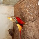 포미앤유 이미지