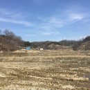 도연농장 이미지