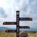 『 제183차 2022년 06월 정기산행 전남 구례 지리산 만복대(1,437m) & 노고단(1,507m) 』 이미지