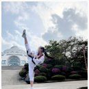 경희대 인성 태권도장 이미지