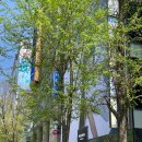 지에스25 동교타운점 이미지