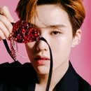 킹덤그룹