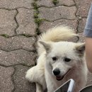 털보네연탄구이 이미지