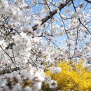 산성텔레콤 이미지