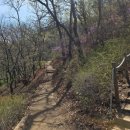 행정사사무소 현명 | 처음 오른 청계산, 원터골에서 매봉까지