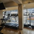 넘버원짐 | 신논현PT 골든바디넘버원짐 2개월 변화 솔직후기｜체력·라인·멘탈까지 달라진 리얼 이야기