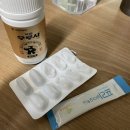 김진성농장 | 해피 설 🧧🤍