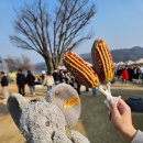 돈&돈 | 경희대삼겹살 퀄리티 좋은 회기돈 목살 후기