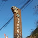 봉양로-1 이미지