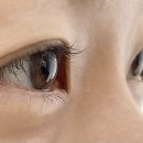 더숨뷰티 이미지