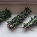 로즈마리 스머지스틱 만들기 이미지