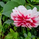 화곡1리 이미지