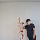 졸음연구소 | 시흥 자세균형연구소 근막관리부터 CST 두개천골요법 시흥 체형균형후기