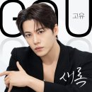 새록 이미지