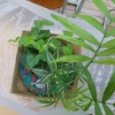 송현여자중학교 이미지