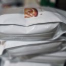 단정하개 이미지