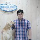 도그워시 이미지