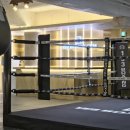 153 boxing gym 이미지