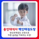 용인대석사백인태권도장 이미지