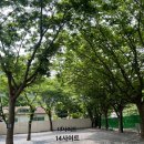 청도 계곡 캠핑장 비밀의정원 사이트