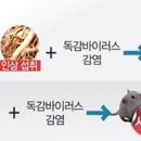 고려홍삼 이미지
