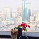 히브루스 이미지