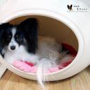 미라클 그루밍 이미지