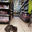 쉼터편의점 이미지