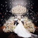 [백석]소통으로 만나는 낭독 | 웨딩홀 본식스냅 추천 | 웨딩시티 아모르홀 결혼 후기 | 테크노마트결혼식장 | 신도림역 테크노마트웨딩홀