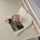 포카포카 이미지