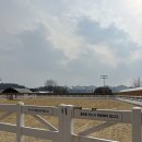 엑셀로이콰인알앤디쎈터 네이버블로그