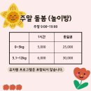 코지독하우스 이미지