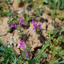 갈담1리 이미지