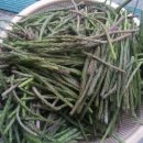 지리산의하루 이미지