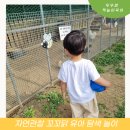 오계농장 | 자연관찰 꼬꼬닭 유아 탐색 놀이