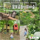차나무숲 | 익산 웅포 곰돌이유아숲체험원&산림문화체험관_수국정원 보고 데크길 걷기