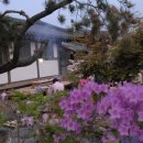 가평한옥마을 이미지