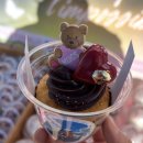 피키래빗 이미지