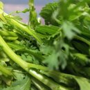 신음경로당 이미지