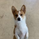 산책가까 이미지