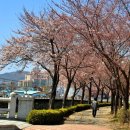 대교공원 이미지